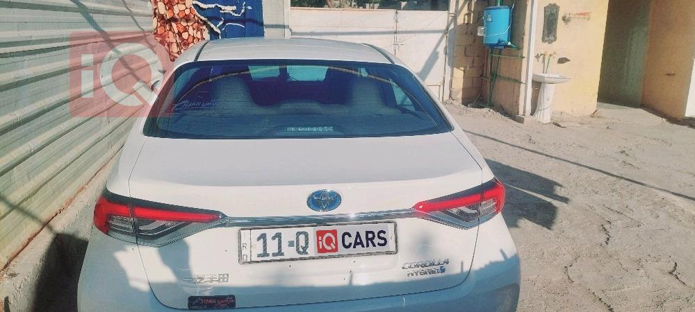 تويوتا كورولا